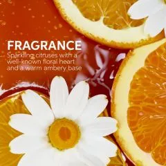 Ulei hidratant pentru par uscat si lipsit de stralucire cu Squalane & Omega 9 Wella Professionals Ultimate Smooth cu protectie termica si efect anti-electrizare, 30 ml