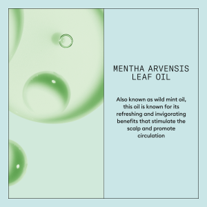 Sampon antimatreata purificator pentru scalp iritat cu mancarimi Nioxin Scalp Recovery Shampoo, 1 l