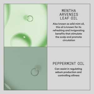 Tratament avansat pentru intarirea si ingrosarea parului Nioxin Density Defend Hair Booster Serum, 100 ml