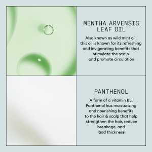 Spray de par pentru fixare puternica Nioxin Density Defend Styling Strong Hold Spray, 300 ml