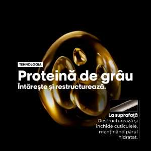 Rezerva sampon pentru par uscat si deteriorat cu proteine de grau & Omega 9, vegan L’Oreal Professionnel Serie Expert Absolut Repair, 500 ml