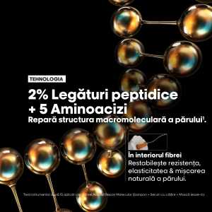 Rezerva Sampon L’Oreal Professionnel Serie Expert Absolut Repair Molecular pentru par deteriorat, 500 ml