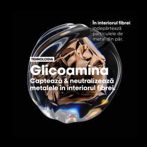 Trusa L'Oréal Professionnel Metal Detox (Sampon 300 ml+ Masca 250 ml)