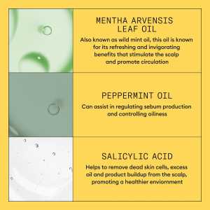 Sampon profesional fortifiant impotriva ruperii pentru par natural cu aspect usor subtiat Nioxin System 1 Scalp + Hair Shampoo, 300 ml